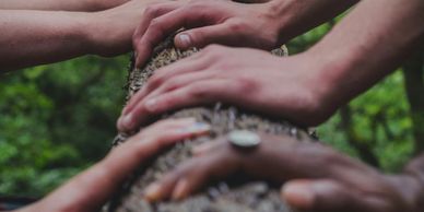 Multiple hands touching a tree trunk in a forest.
