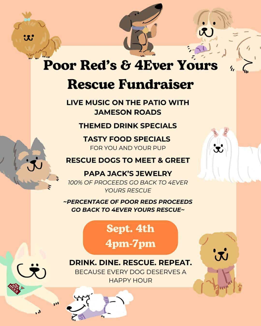 How to Rescue a Hypoallergenic Dog: Essential Tips for Success