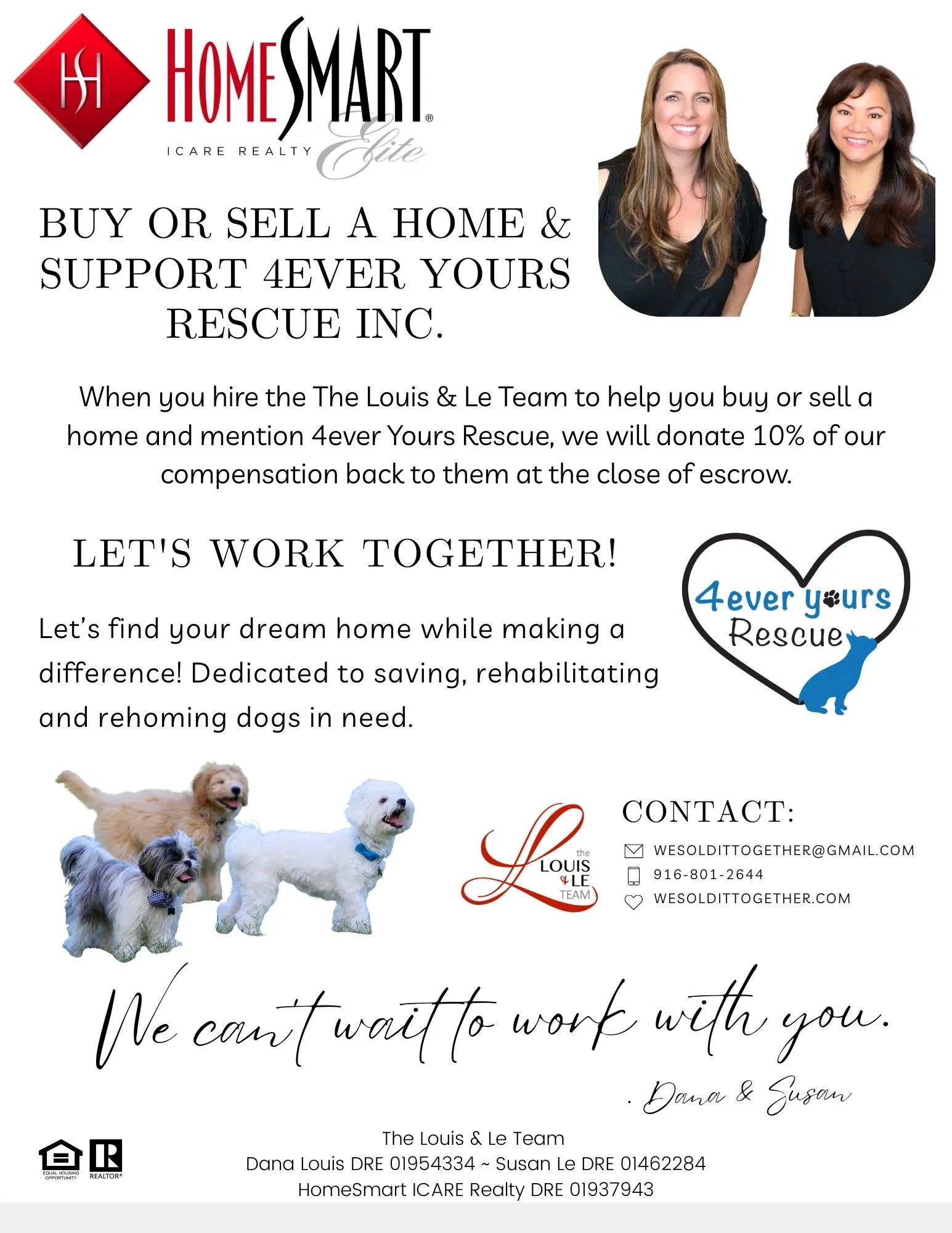 Dogs for Adoption - 4ever Yours Rescue Inc