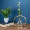 Brass Capstone Floating Bud Vase - Image 2