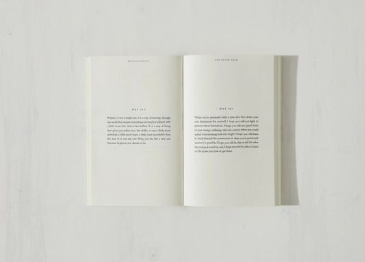 The Pivot Year - Book - Image 2