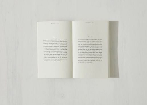 The Pivot Year - Book - Image 6