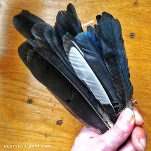 Feathers, feather painting, painted feathers, magpie, crow, raven, corvid.
