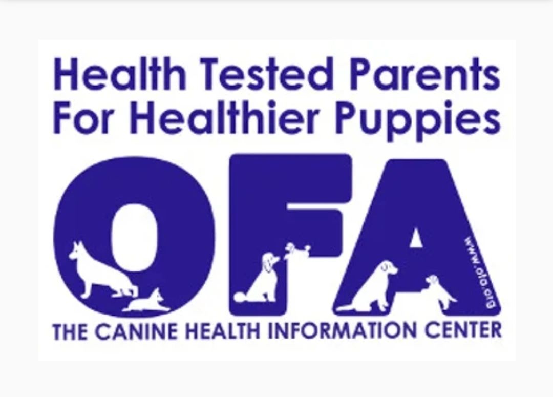 OFA health testing