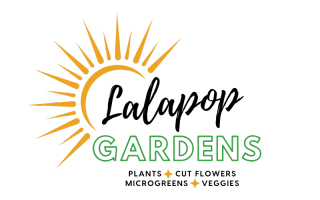 Lalapop Gardens