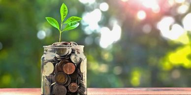 A plant growing from a jar filled with coins.