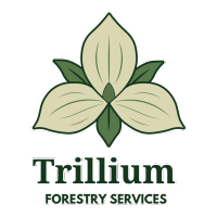 Trillium Forestry Services