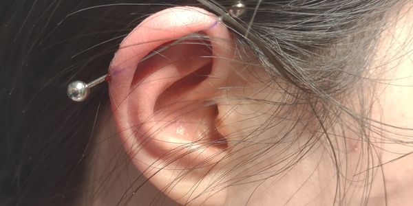Industrial barbell piercing in cartilage of the helix of pretty girl's ear. 
