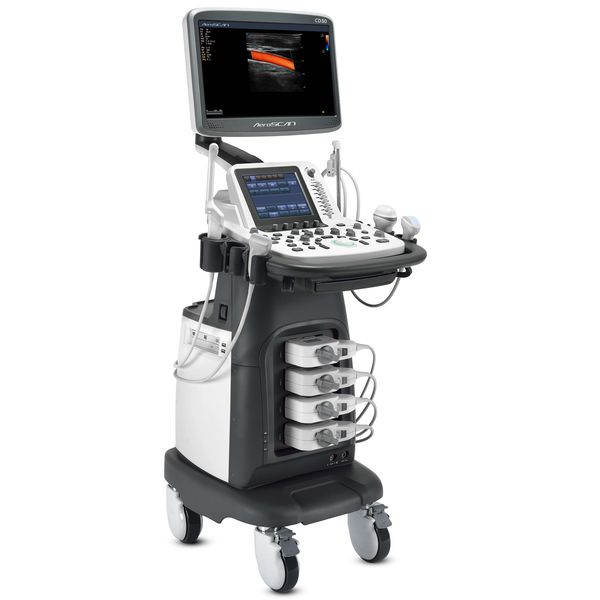 Medical ultrasound machine with multiple probes and a display showing a scan image.