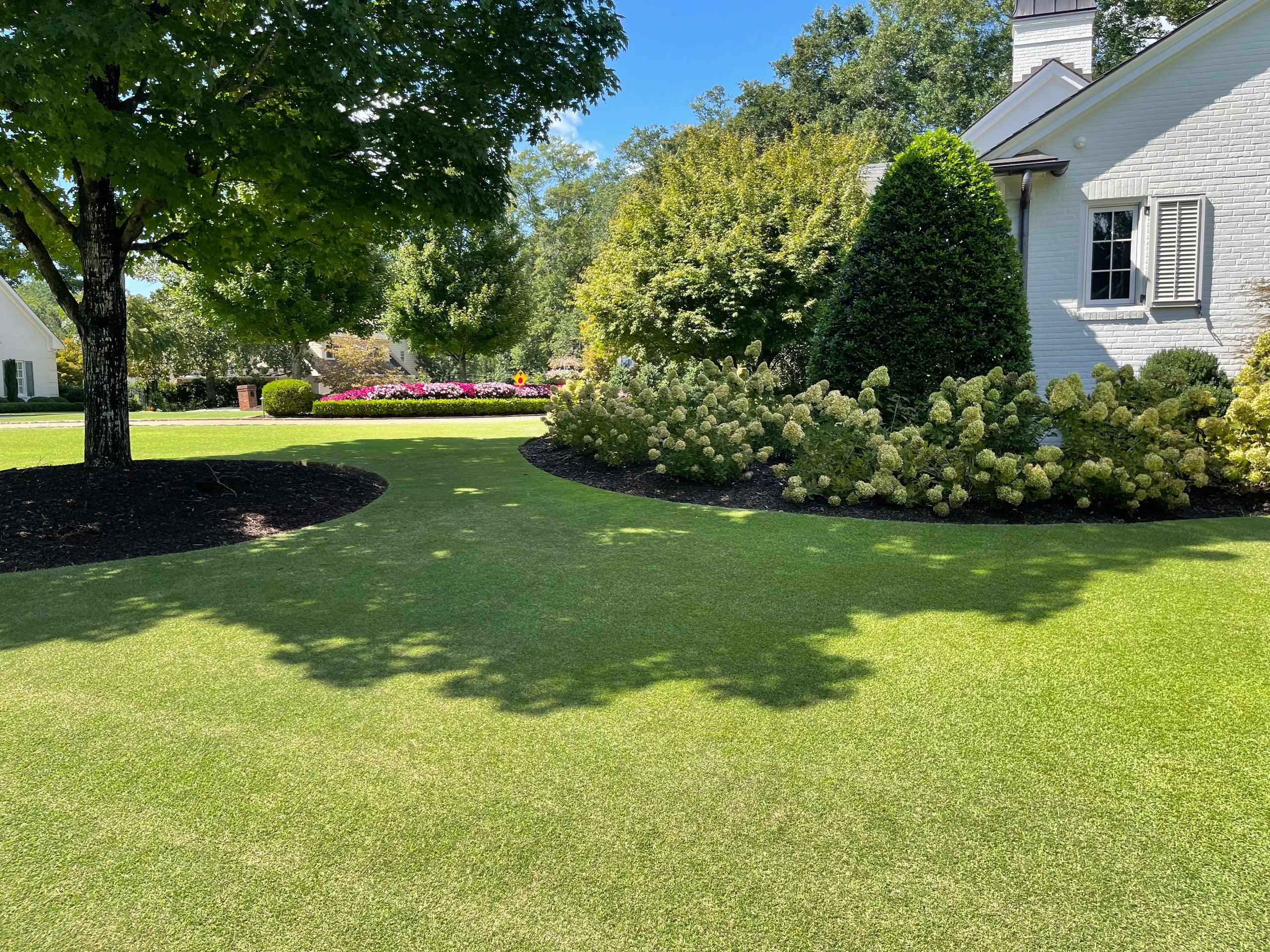 Well-maintained garden with green lawn, trees, and white brick house under clear blue sky.