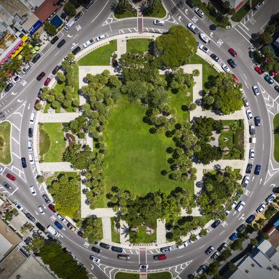 photo of St. Armands Circle Park, provided by Kincaid Galleries. kincaidgalleries.com