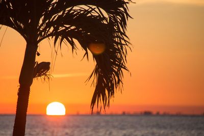 beautiful Key West Sunset