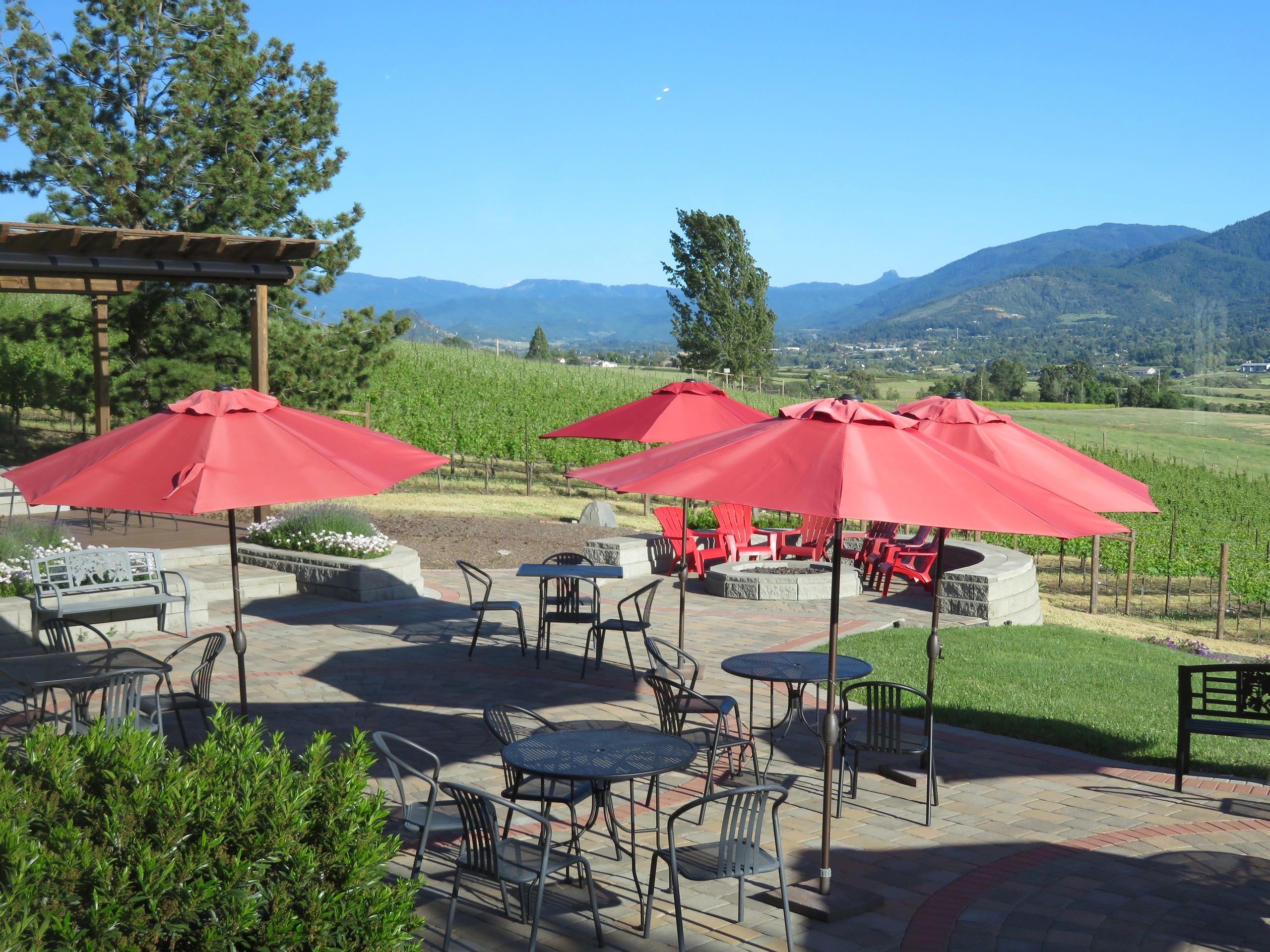 Dana Campbell Vineyards