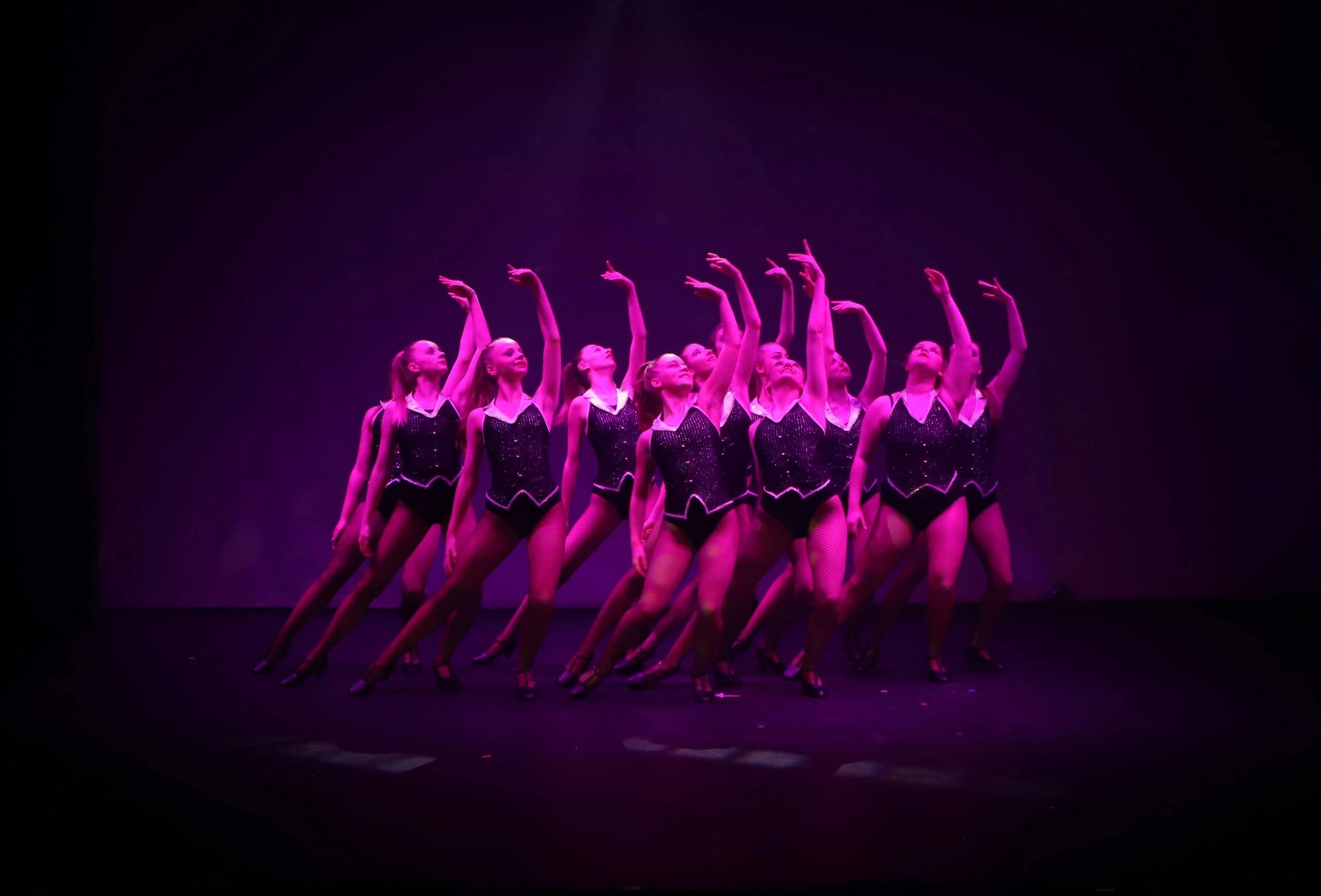 michelle-moss-school-of-performing-arts-home