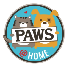 Paws@Home Pet Sitting