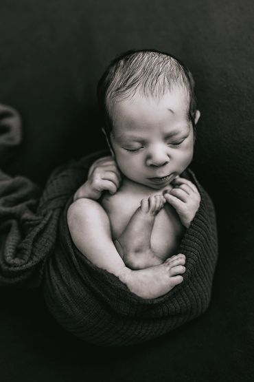 Elk River newborn photographer