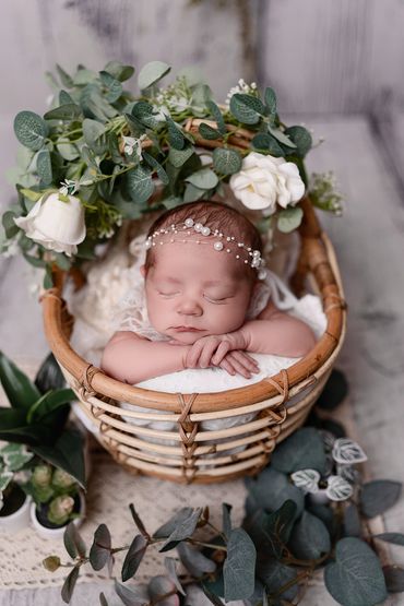 Andover newborn photographer