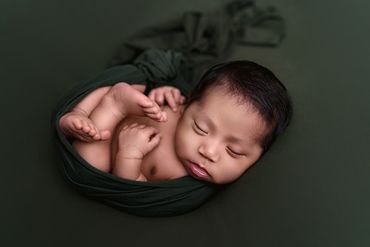Becker Newborn photographer