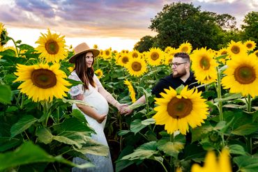 Anoka County sunflower maternity photography