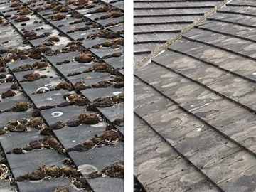 Roof washing