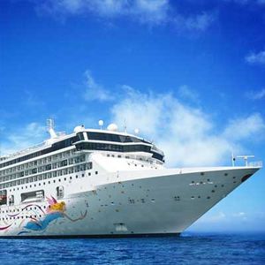 Services Miami Vip Tour