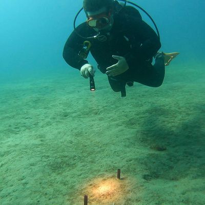 Scuba diver examining objects on the ocean floor with a flashlight.