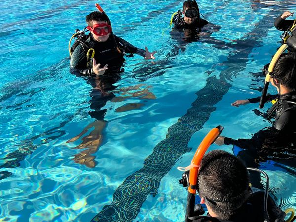 Group of scuba divers practicing in a swimming pool.