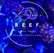 Dragons reefs