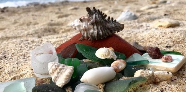 Sea glass and shells galore