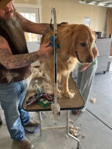 Man grooming a golden retriever on a grooming table indoors.