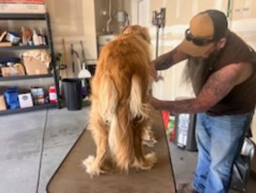 Man grooming a golden retriever on a grooming table in a garage.