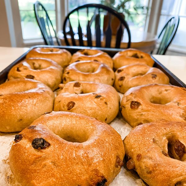 Dough and Grinds Bagels