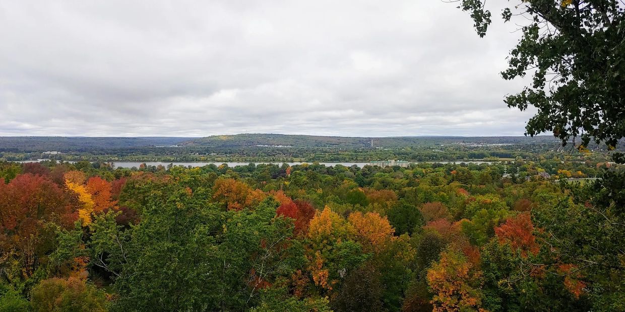  Autumn trees in Fredericton are maintained with expert tree removal services in Fredericton