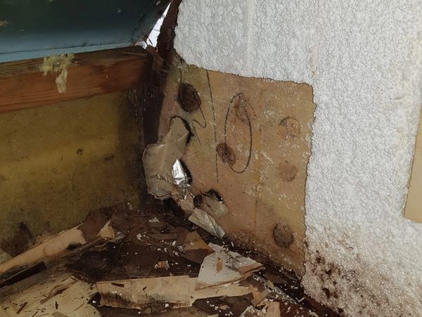 Damp found in motorhome habitation area