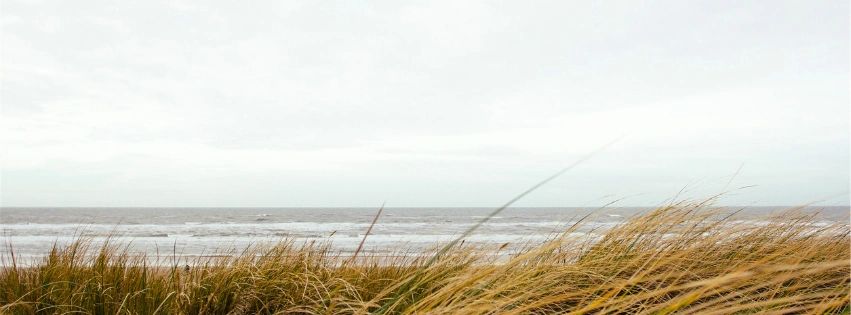 Alexandra Kidd ADHD Coaching