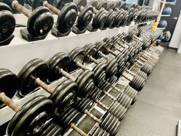 Rows of dumbbells in a gym.