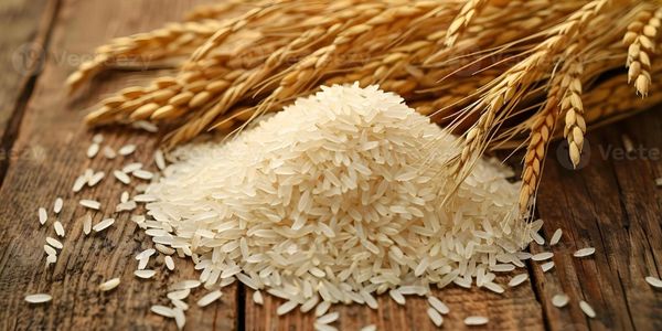 Pile of uncooked white rice grains with wheat stalks on wooden surface.