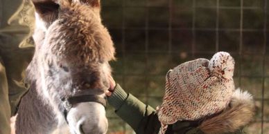 A child in a knitted hat gently touching a donkey's face.