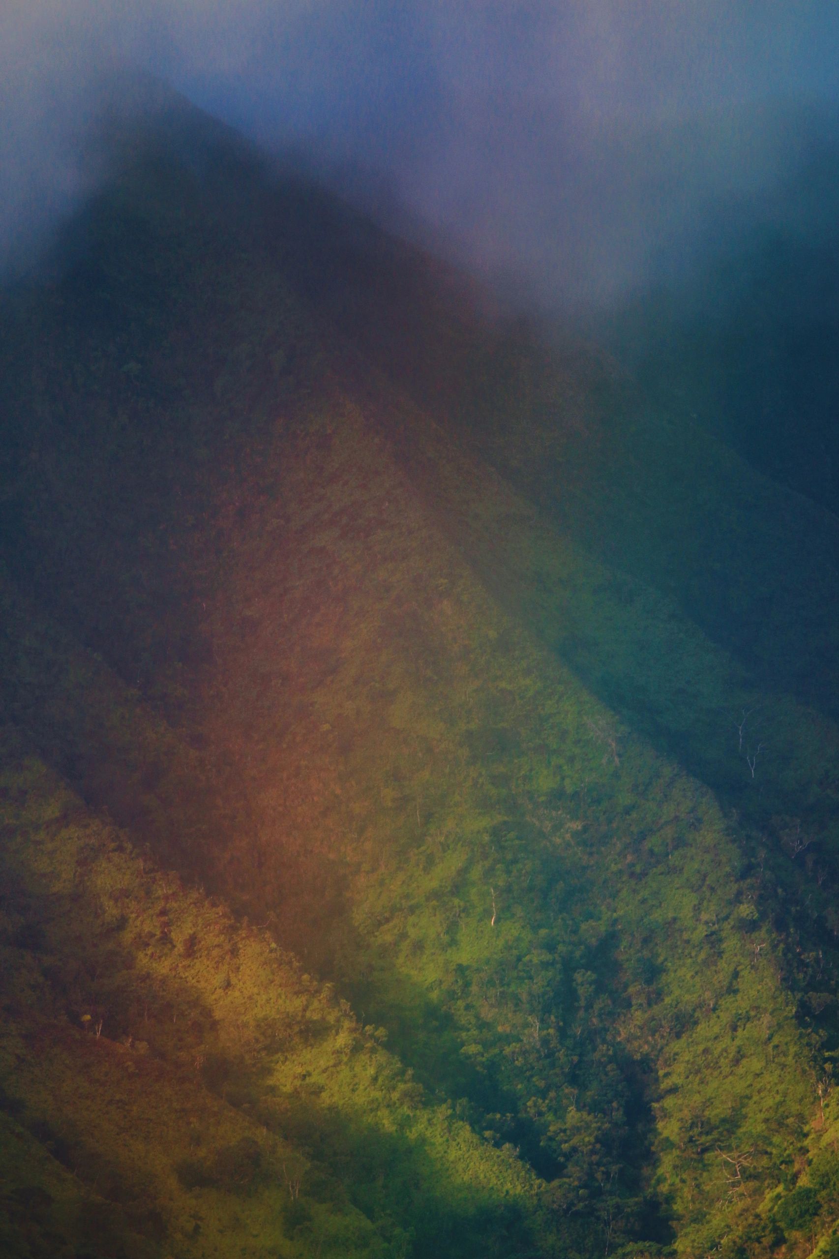 Paradise Property Management