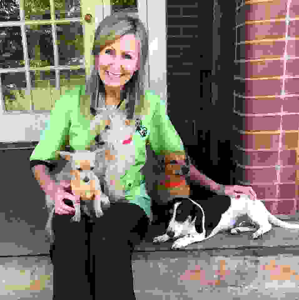 Dog Grooming Victoria's Pet Parlor & Resort