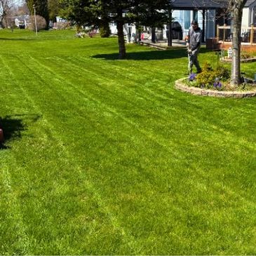 Man mowing a large, freshly cut lawn in a sunny backyard.
