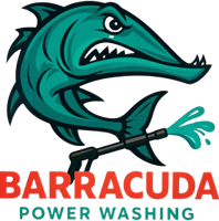 Barracuda power washing
