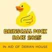 Brinscall Duck Race 2024