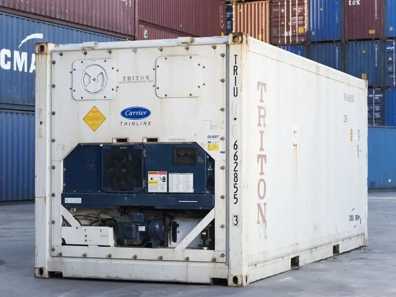 Reefer 2.webp
