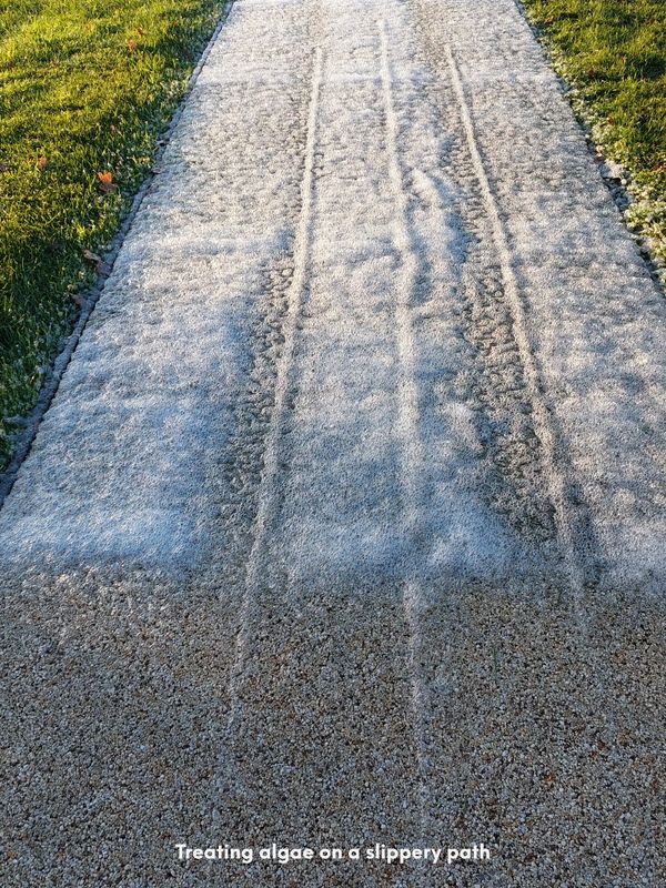 Pathway moss treating 