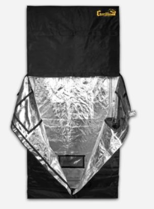 2 X 4 Gorilla Lite Line Tent