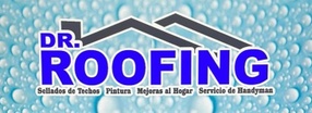 DR Roofing and Handyman LLC