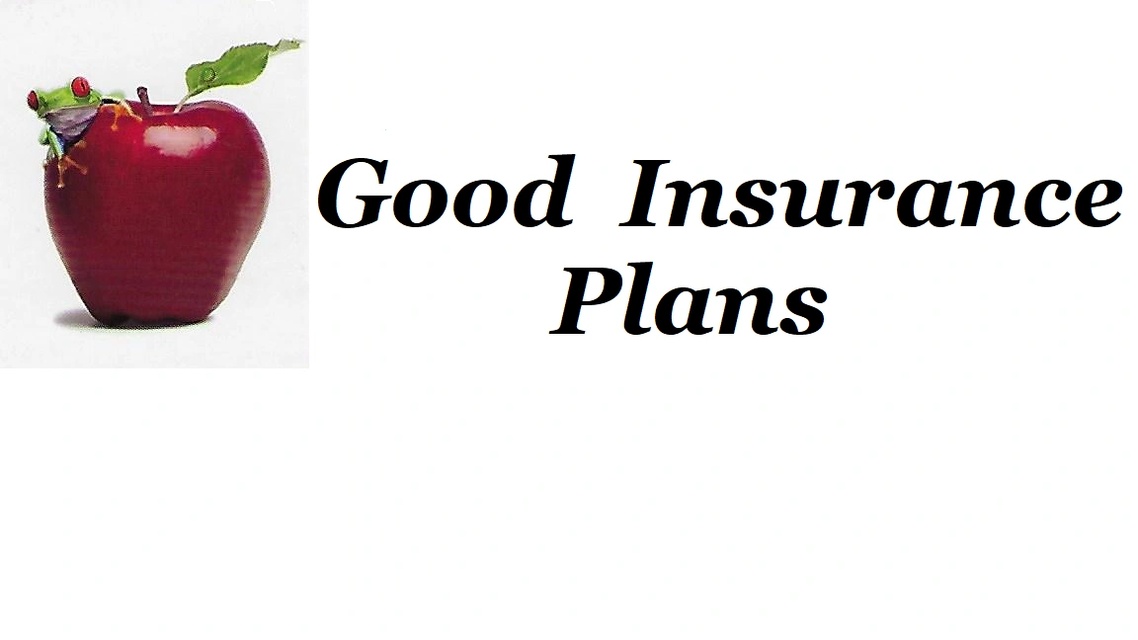 Good Insurance Plans 