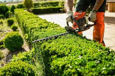 Hedging in Knoxville