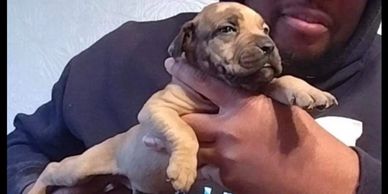 A man holding a puppy